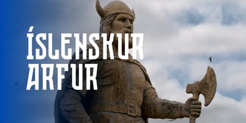 Íslenskur arfur – hljóðbækur á Sagnaland
