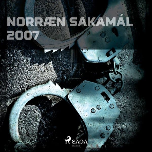 Norræn Sakamál 2007 eftir Ýmsir - hljóðbók