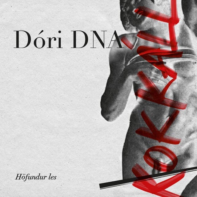 Kokkáll eftir Dóri DNA - hljóðbók