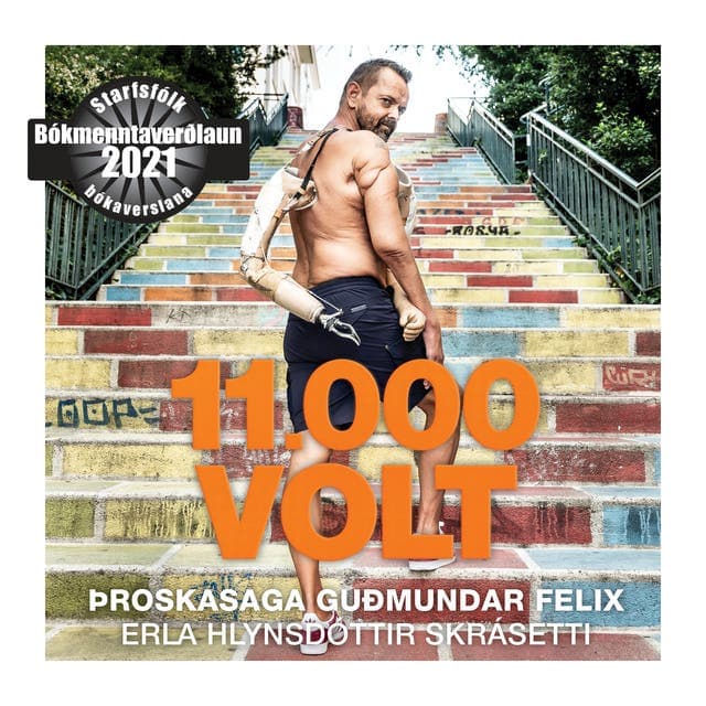 11.000 volt eftir Erla Hlynsdóttir - hljóðbók