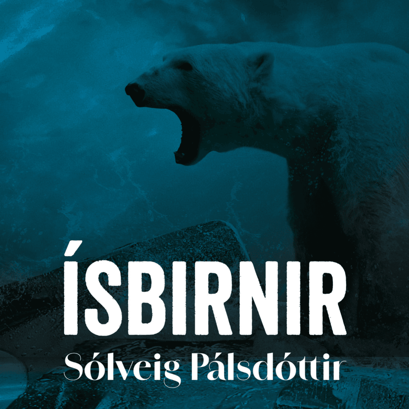 Ísbirnir eftir Sólveig Pálsdóttir
