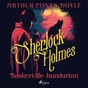 Baskerville–hundurinn eftir Sir Arthur Conan Doyle - hljóðbók