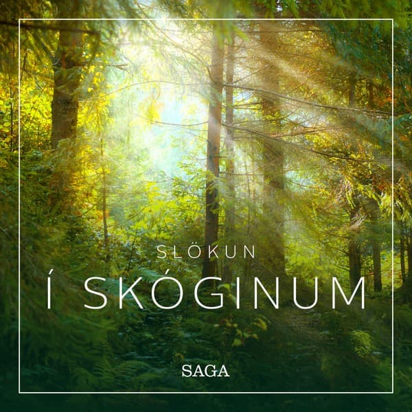 Slökun – Í skóginum eftir Rasmus Broe - hljóðbók