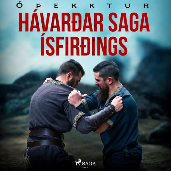 Hávarðar saga Ísfirðings  eftir Óþekktur - hljóðbók