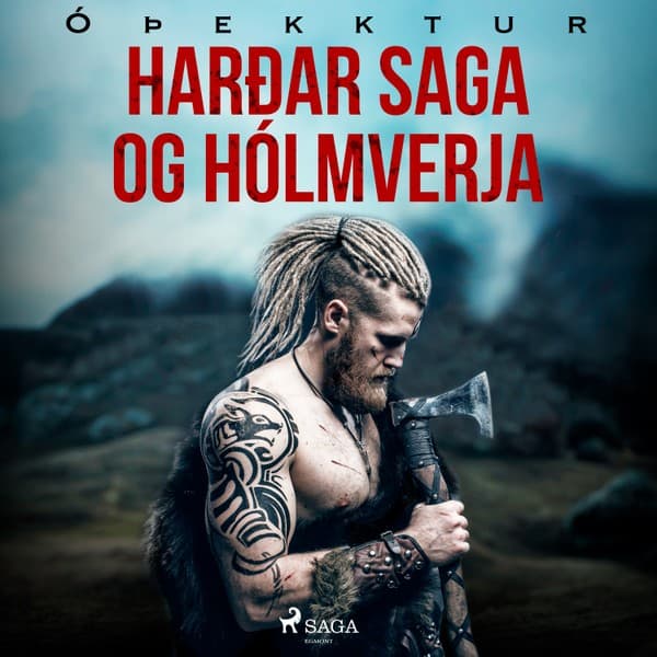 Harðar saga og Hólmverja  eftir Óþekktur - hljóðbók