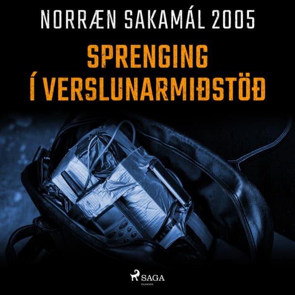 Sprenging í verslunarmiðstöð eftir Ýmsir - hljóðbók