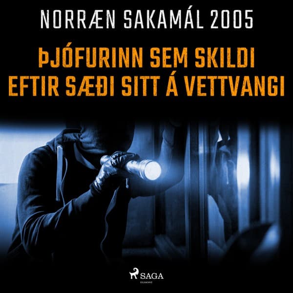Þjófurinn sem skildi eftir sæði sitt á vettvangi eftir Ýmsir - hljóðbók