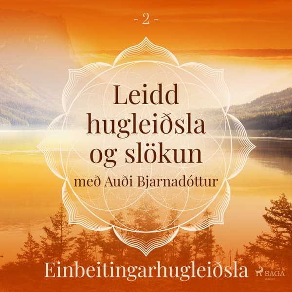 Leidd hugleiðsla og slökun – Einbeitingarhugleiðsla eftir Trine Holt Arnsberg - hljóðbók