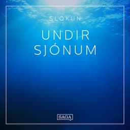 Slökun – Undir sjónum eftir Rasmus Broe - hljóðbók