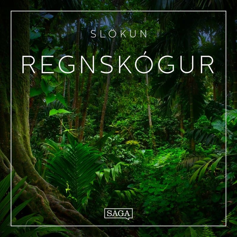 Slökun – Regnskógur eftir Rasmus Broe - hljóðbók