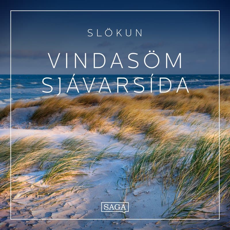 Slökun – Vindasöm sjávarsíða eftir Rasmus Broe - hljóðbók