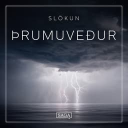 Slökun – Þrumuveður eftir Rasmus Broe - hljóðbók