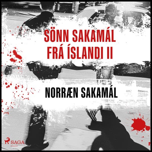Sönn Sakamál frá Íslandi II eftir Ýmsir - hljóðbók