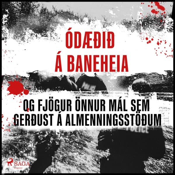 Ódæðið á Baneheia og fjögur önnur mál sem gerðust á almenningsstöðum eftir Ýmsir - hljóðbók