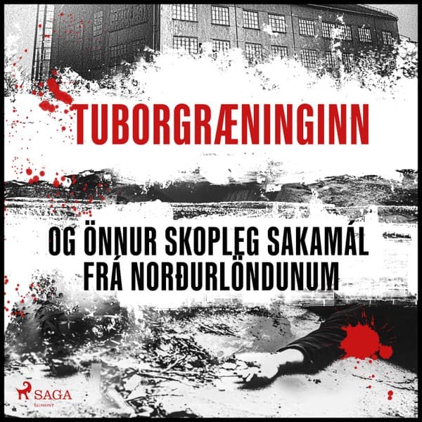 Tuborgræninginn og önnur skopleg sakamál frá Norðurlöndunum eftir Ýmsir - hljóðbók