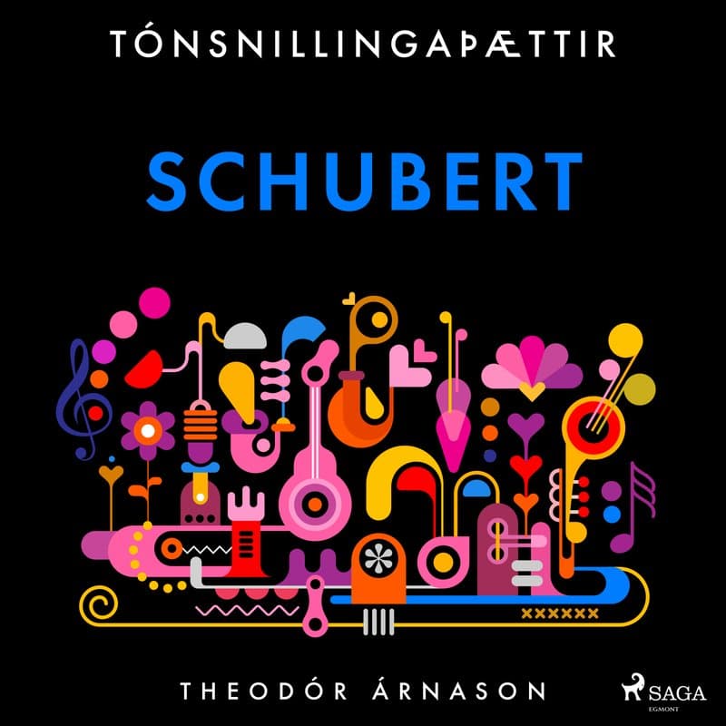 Tónsnillingaþættir: Schubert eftir Theódór Árnason - hljóðbók
