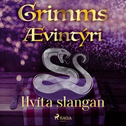 Hvíta slangan eftir Grimmsbræður - hljóðbók