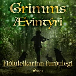 Fiðluleikarinn furðulegi eftir Grimmsbræður - hljóðbók