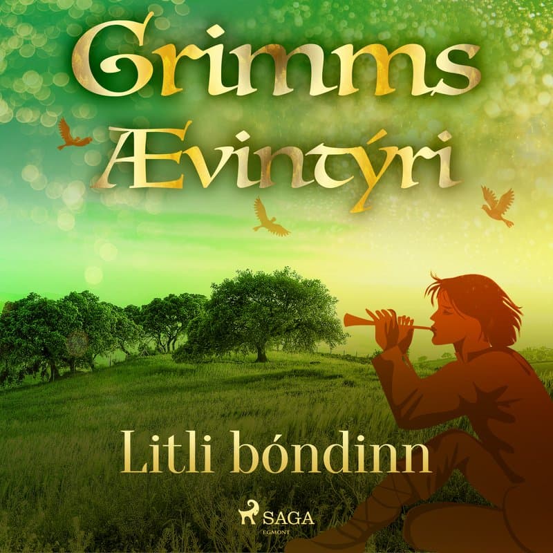 Litli bóndinn eftir Grimmsbræður - hljóðbók