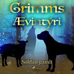 Sóldán gamli eftir Grimmsbræður - hljóðbók