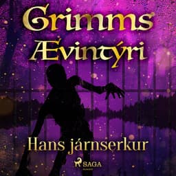 Hans járnserkur eftir Grimmsbræður - hljóðbók