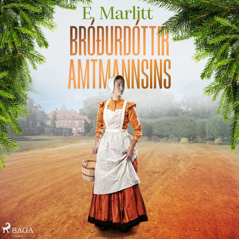 Bróðurdóttir amtmannsins eftir E. Marlitt - hljóðbók