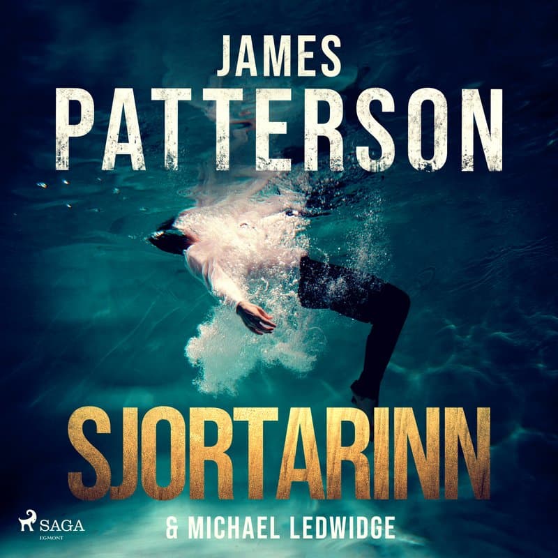 Sjortarinn eftir James Patterson - hljóðbók