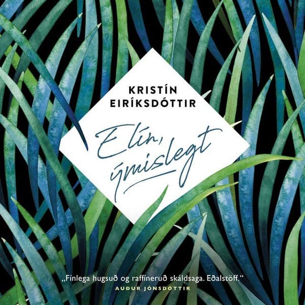 Elín, ýmislegt eftir Kristin Eiriksdottir - hljóðbók