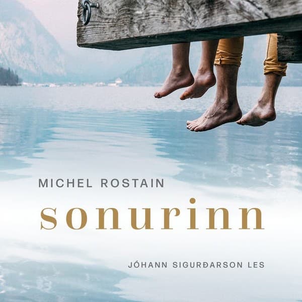Sonurinn eftir Michael Rostain - hljóðbók