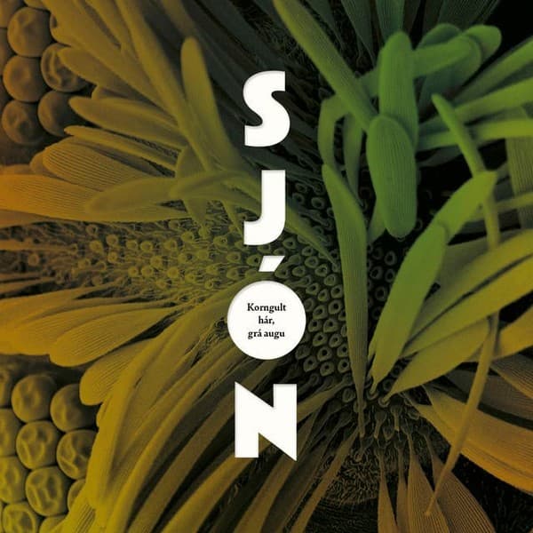 Korngult hár, grá augu eftir Sjón - hljóðbók