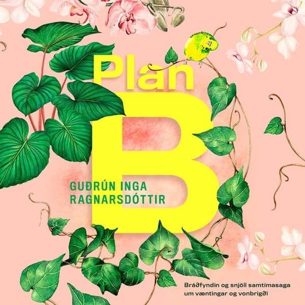 Plan B eftir Guðrún Inga Ragnarsdóttir - hljóðbók
