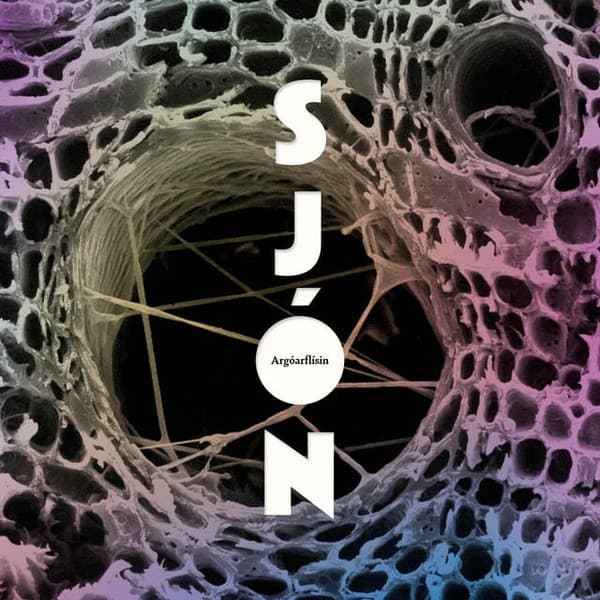 Argóarflísin eftir Sjón - hljóðbók