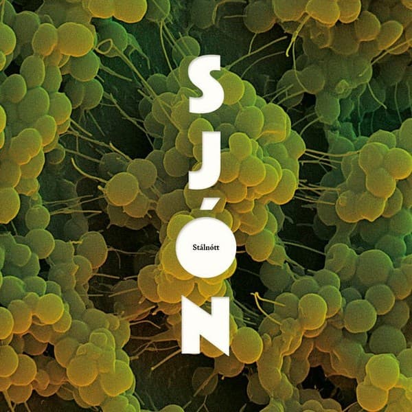Stálnótt eftir Sjón - hljóðbók