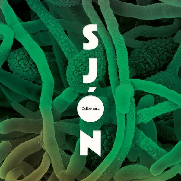 CoDex 1962 eftir Sjón - hljóðbók