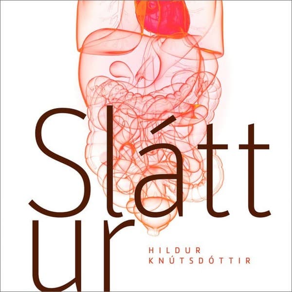 Sláttur eftir Hildur Knútsdóttir - hljóðbók