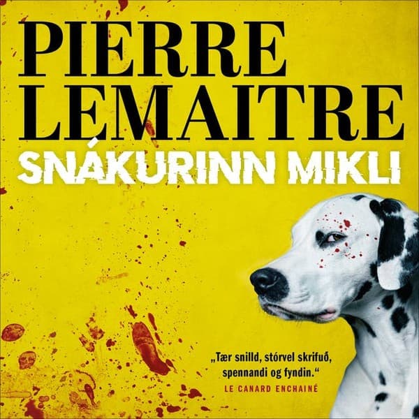 Snákurinn mikli eftir Pierre Lemaitre - hljóðbók