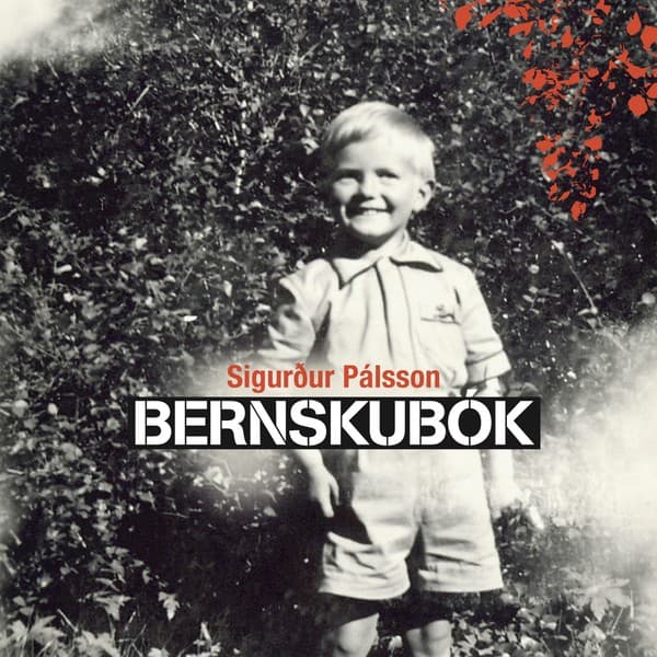 Bernskubók eftir Sigurður Pálsson - hljóðbók
