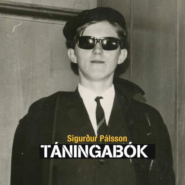 Táningabók eftir Sigurður Pálsson - hljóðbók
