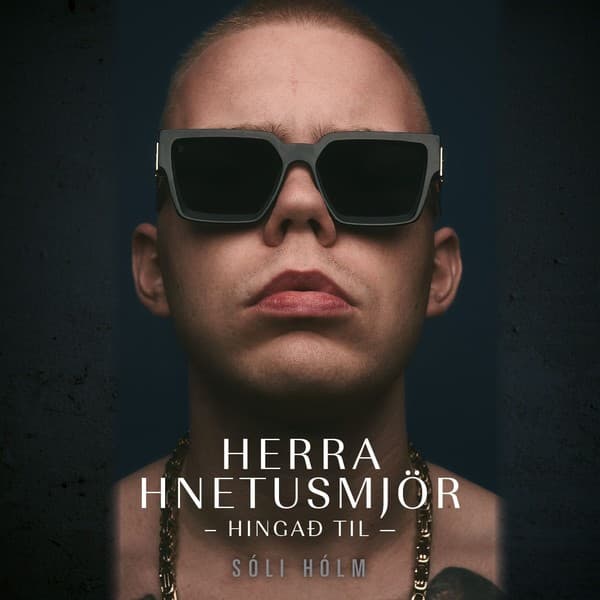 Herra Hnetusmjör – Hingað til eftir Árni Páll Árnason og Sólmundur Hólm Sólmundarson - hljóðbók