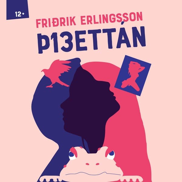 Þrettán eftir Friðrik Erlingsson - hljóðbók