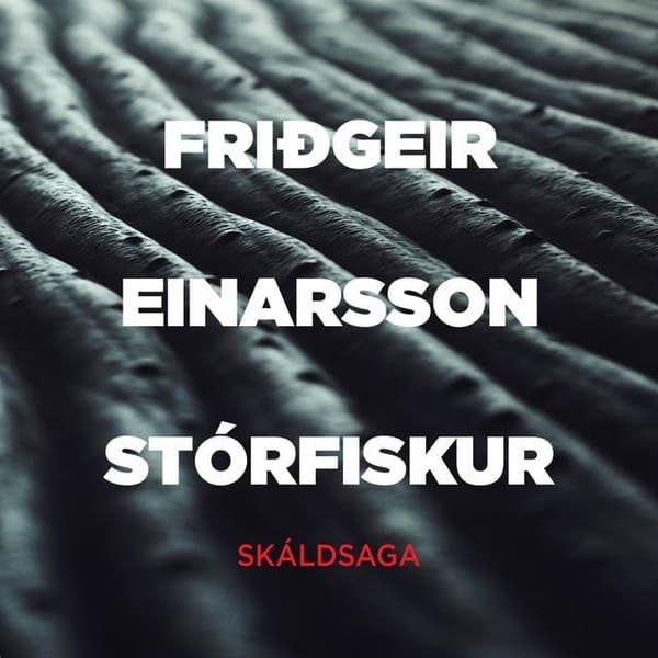Stórfiskur eftir Friðgeir Einarsson - hljóðbók