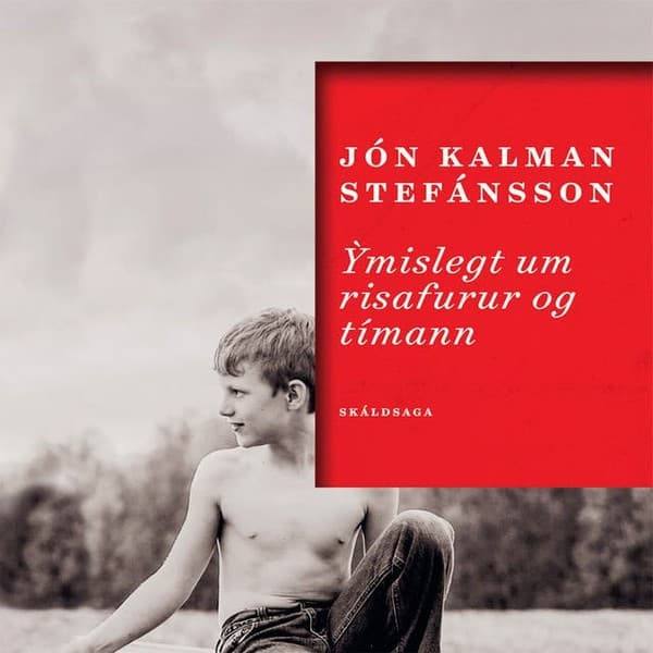 Ýmislegt um risafurur og tímann eftir Jón Kalman Stefánsson - hljóðbók