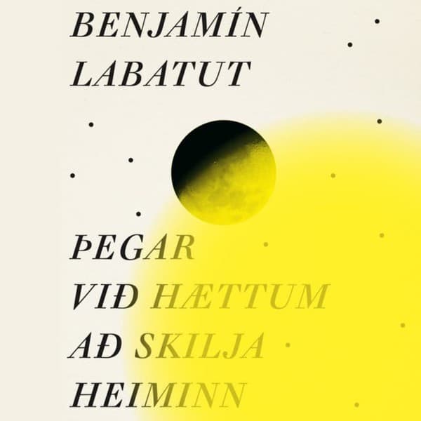 Þegar við hættum að skilja heiminn eftir Benjamín Labatut - hljóðbók