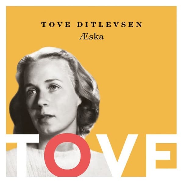 Æska eftir Tove Ditlevsen - hljóðbók