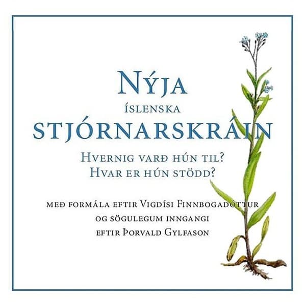 Nýja íslenska stjórnarskráin (2. útgáfa) eftir Ýmsir - hljóðbók