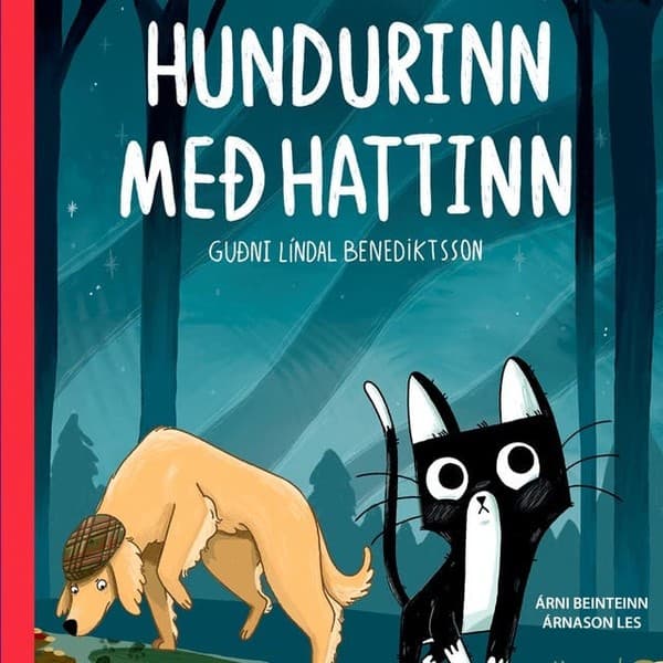 Hundurinn með hattinn eftir Guðni Líndal Benediktsson - hljóðbók
