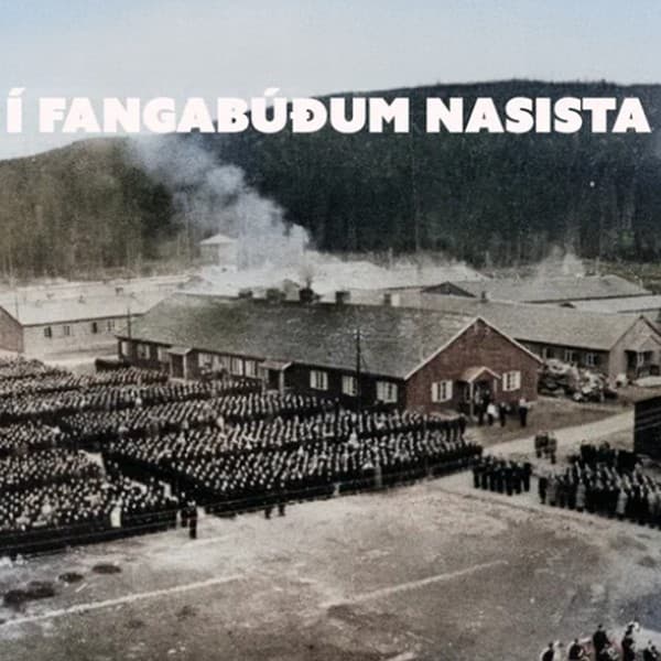 Í fangabúðum nasista eftir Baldur Bjarnason - hljóðbók