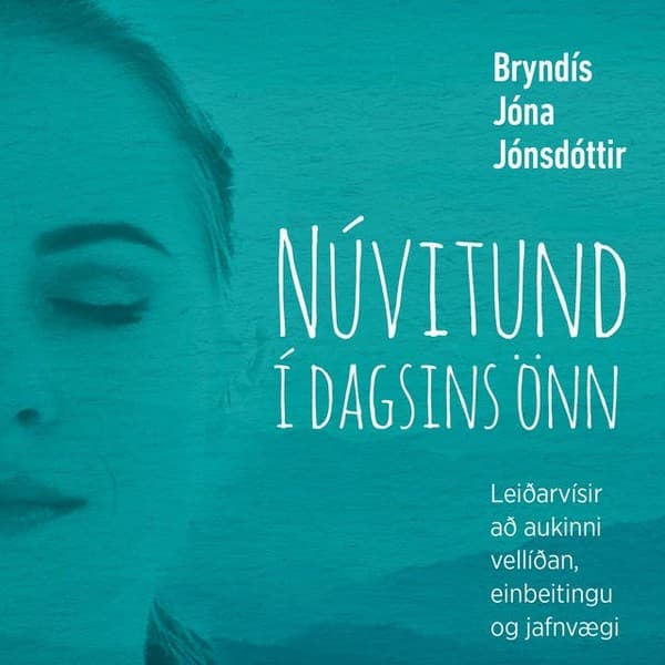 Núvitund í dagsins önn eftir Bryndís Jóna Jónsdóttir - hljóðbók