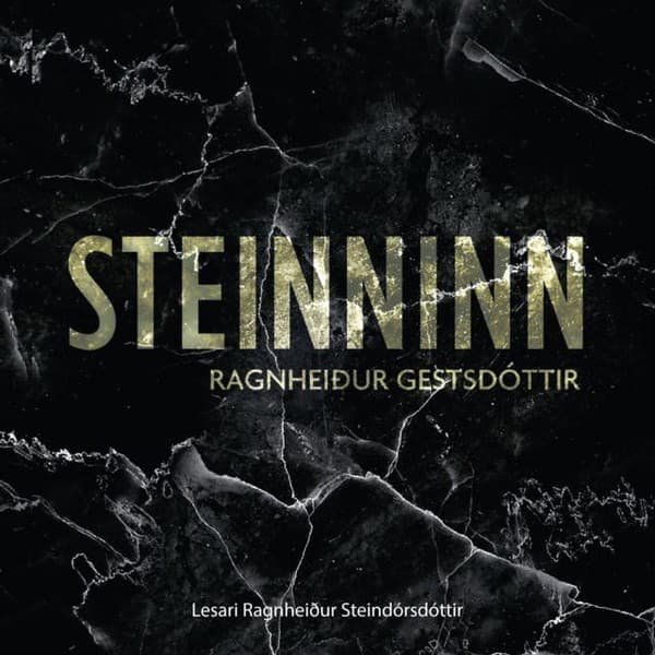 Steinninn eftir Ragnheiður Gestsdóttir - hljóðbók
