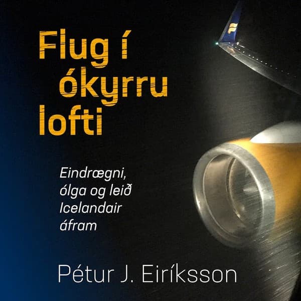 Flug í ókyrru lofti eftir Pétur J. Eiríksson - hljóðbók